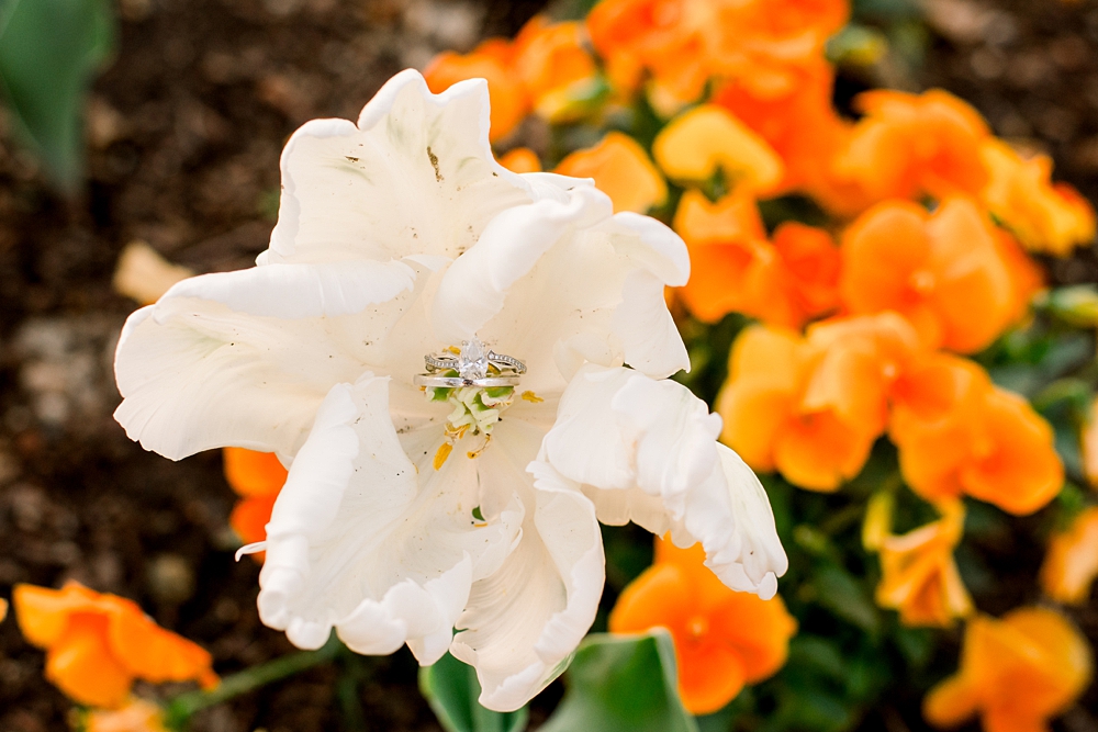 Rings are placed in a flower during a Smithsonian Gardens Engagement in Washington DC